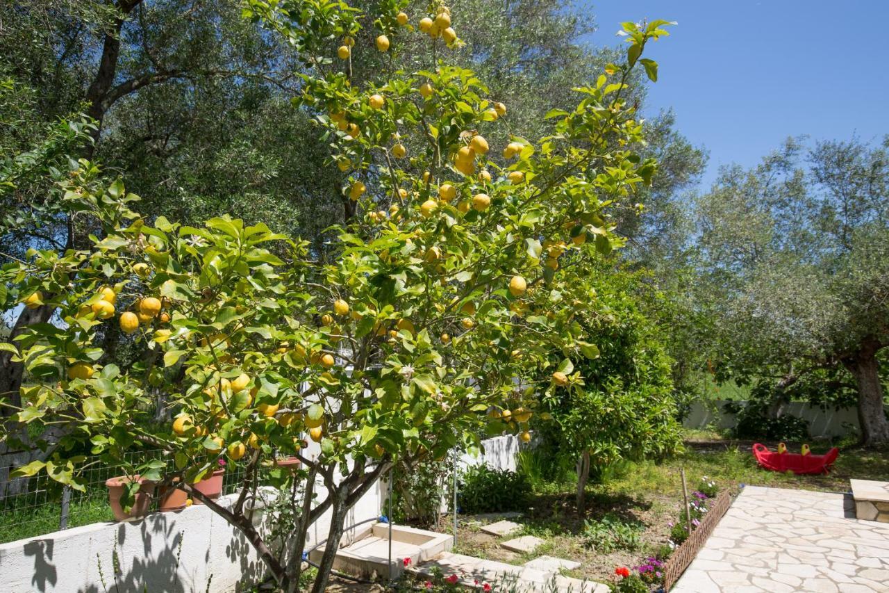Karia Holiday Home ليفكيمي المظهر الخارجي الصورة
